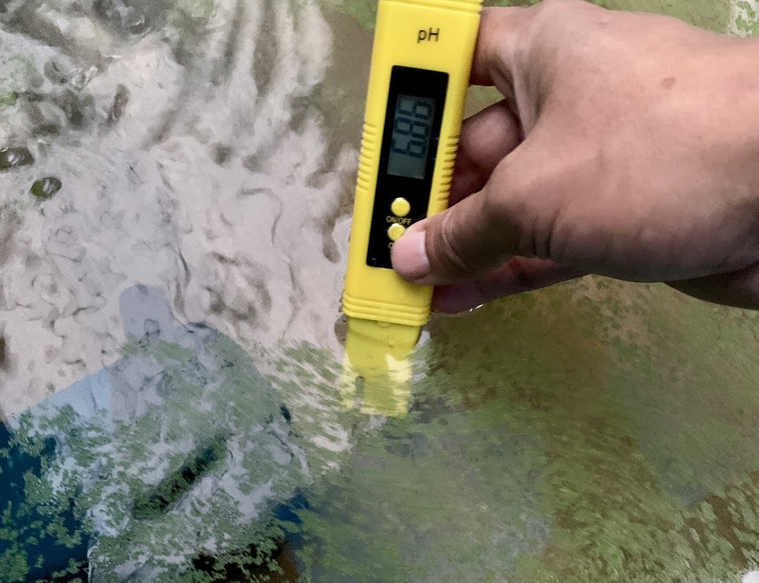 pH Testing