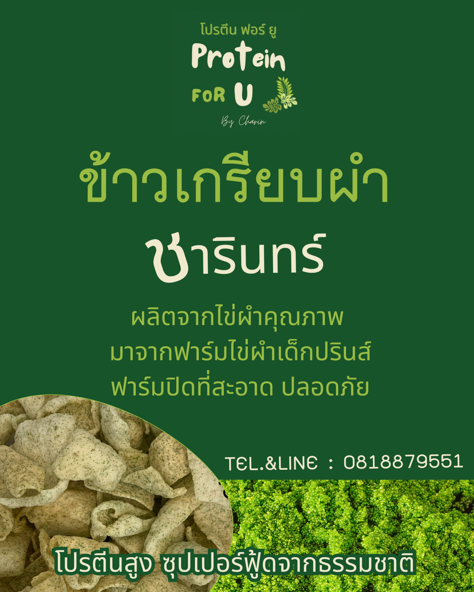 ข้าวเกรียบผำ เด็กปรินส์