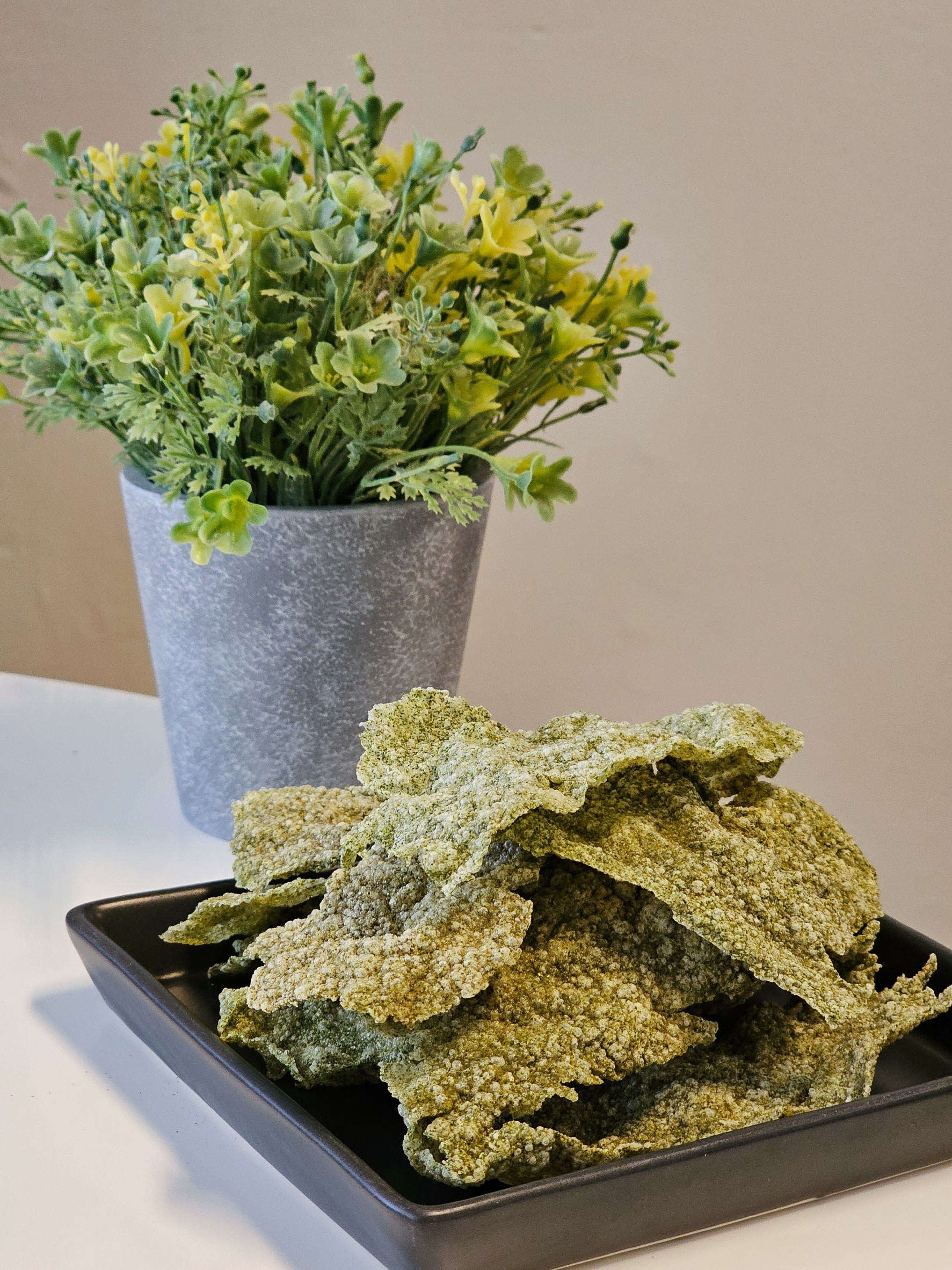 Dried Wolffia Sheet / ผำหิมะ